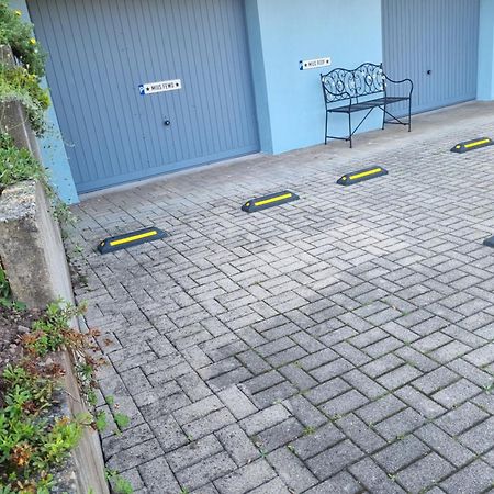 Miu'S Ferienwohnung Alpirsbach Dış mekan fotoğraf