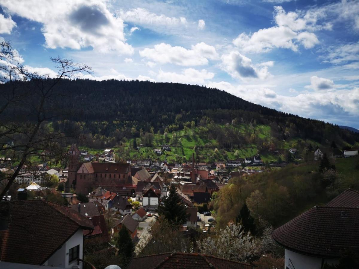 Miu'S Ferienwohnung Alpirsbach Dış mekan fotoğraf
